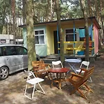 Anastazja
