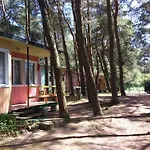 Anastazja