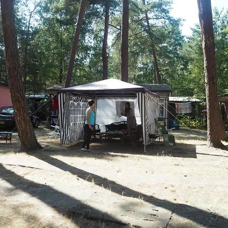 Anastazja Kamp alanı Międzywodzie