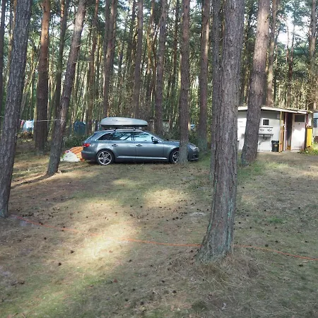 Anastazja Kamp alanı Międzywodzie