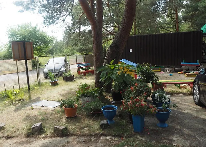 Anastazja * מידז'יוודז'י