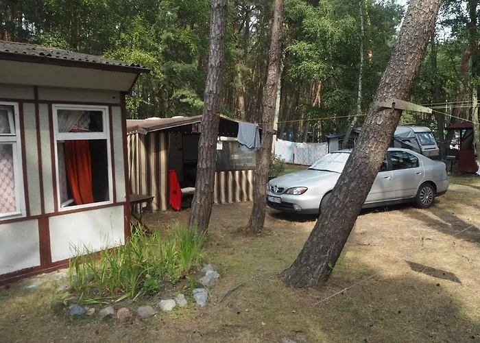 Anastazja * מידז'יוודז'י