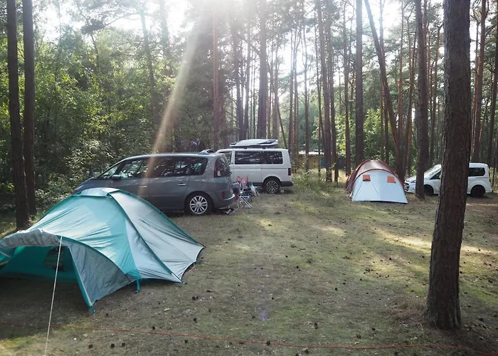 Anastazja מידז'יוודז'י